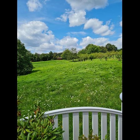Neu Ferienwohnung Odenwald Rimhorn Экстерьер фото
