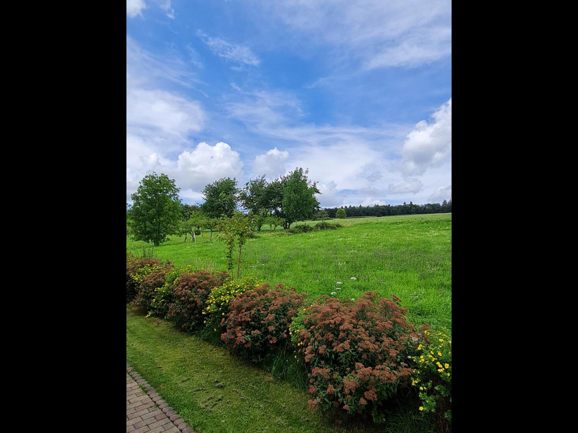 Neu Ferienwohnung Odenwald Rimhorn Экстерьер фото
