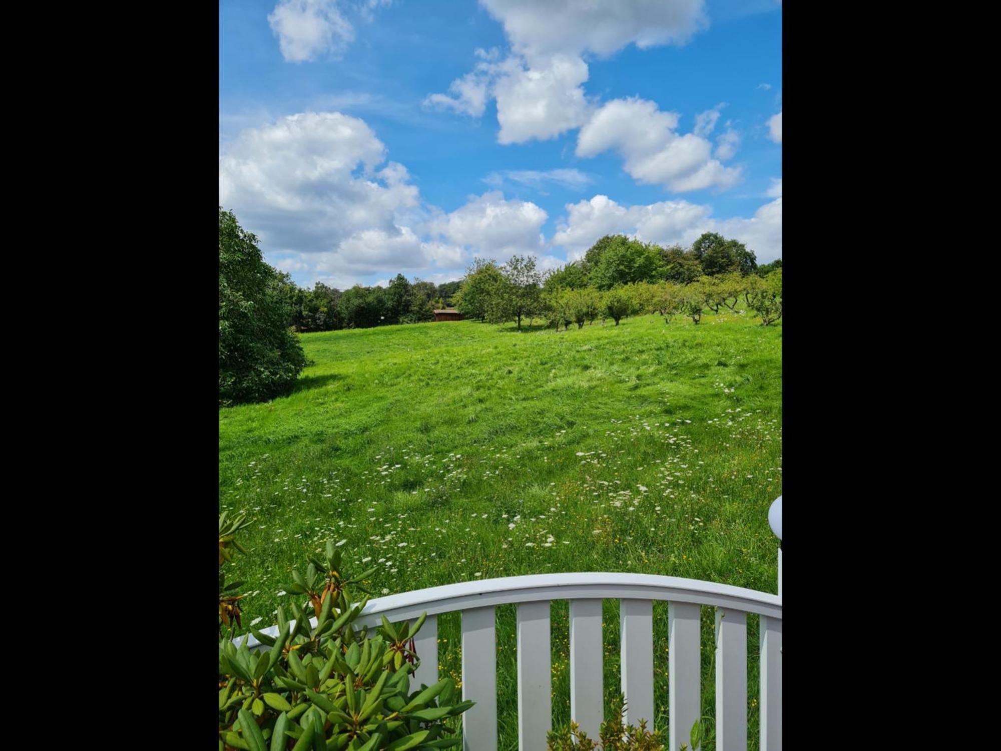 Neu Ferienwohnung Odenwald Rimhorn Экстерьер фото